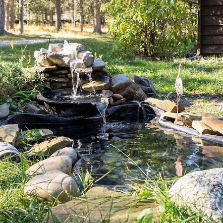 Rustic Cozy Cabin With Hot Tub Bragg Creek Екстериор снимка