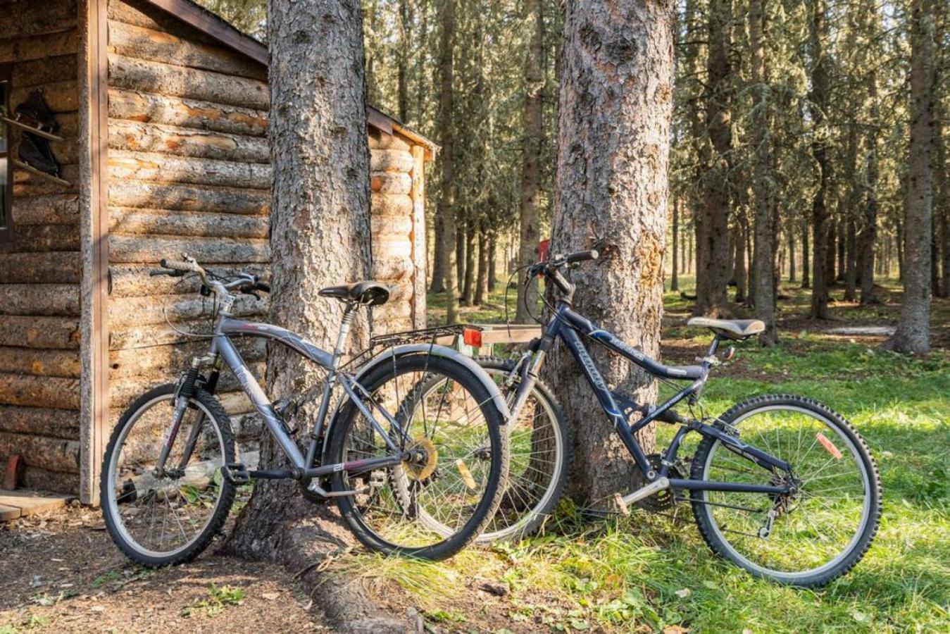 Rustic Cozy Cabin With Hot Tub Bragg Creek Екстериор снимка